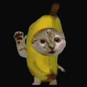CING