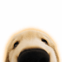 MCDOGS