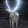 RDEER
