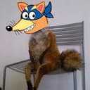 SWIPER