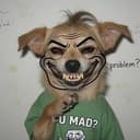Drogg