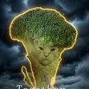 BroccoliCat