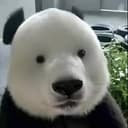BIAO