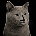NPC