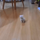 smol