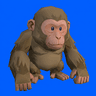 WONK