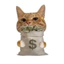 moneycat