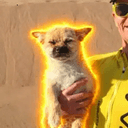 Gobi