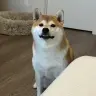 Kiko