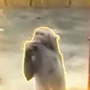 🙊