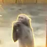 🙊