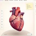 Anatomy