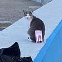 CATRIPOD