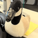MR. GOOSE⁠