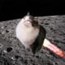 MoonCat
