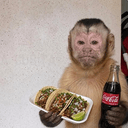 rico