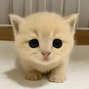 MOCHI