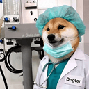 DOGTOR