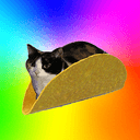 tacocat