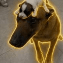 DUDOG