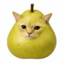 PEARED