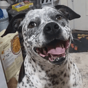 ZOE