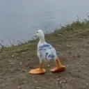 Donald
