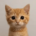 neko