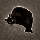 tempuracat