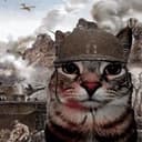 WARFARE