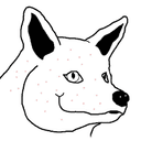 dug