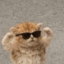 MOGCAT`