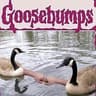GOOSEE