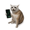 STOCKCAT