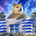 DogePalace
