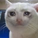 CRYCAT