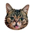 BUB