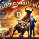 BULLRUN