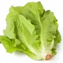 Lettuce