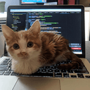 blumcat