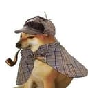 $PIPEDOG