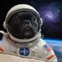 OSCAR