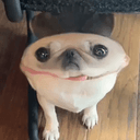 cookie
