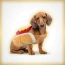 HOTDOG