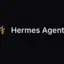 Hermes Agent
