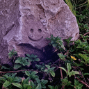 ROCK