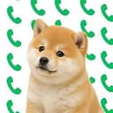 CDOG