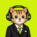 Stonk Cats