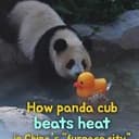 望舒