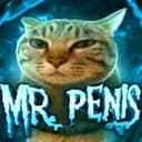 Penis